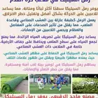 رمل السيليكا لملاعب كرة القدم