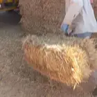 يوجد تبن تبن حق 24 جندير لجميع انحاء المملكه