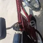 سيكل رامبو اندوسي للبيع