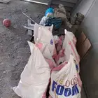 بطحا اسمنت دخل جدة الرحيلي طيبه الحمدنيه. بريمان الصفاء