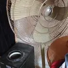 مروحه