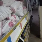 دينا قلاب مشوير نقل خشب مواد البناء رمل