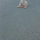 للتواصل
