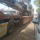 لوبد متوجد في القريات