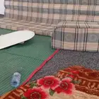 مجلس 5في 8