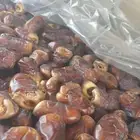 برني الفرع حبه مليانه