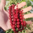 مسباح بكلايت صب قديم من عصى ألمانية توتي خراطة مصنع الفن