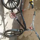 كوبرا مقاس 20