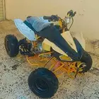 دباب فراشة تم البيع تم البيع