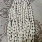 عظم جمل