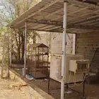 مظلة 10   6 للبيع