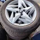 جنوط اكسنت مقاس 16 وكاله الأصلي