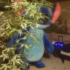 مهرجه بالرياض وخارج الرياض