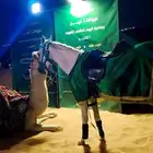 اجار خيل جمال وسيسي للتواصل
