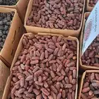 مبروم للبيع فقط 19 ريال كيلو