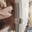 كبوت بوز 24 يحتاج تجهيز و رش فقط نظيف