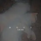قطط للبيع