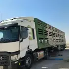 تريله غنم اغنام