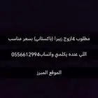 مطلوب 4ازوج زيبرا