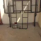 سله صالون