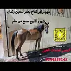 مهره واهو لقاح