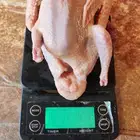 حمام فرنسي سوبر جامبو غير مذبوح الجوز 27 ريال حد للكميات