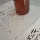 عسل سدر جوده ممتازه جدا