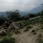 بكلين