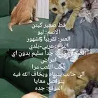 حي مشرفة شارع غرناطة