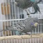 السلام عليكم ورحمة الله وبركاته