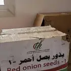 بذور بصل بافطيم