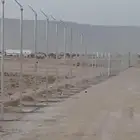 مقاولات عامه