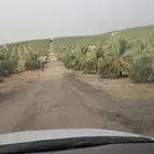 مطلوب مزرعة نخيل للايجار
