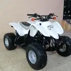 دباب