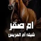 استديو احلام الطرب لتنفيذ الزفات والشيلات