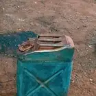 جركل جيب معى شيآل اسبير صالون