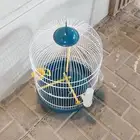 قفص طيور جميل