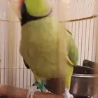 السلام عليكم دره متكلم اليف وهدد