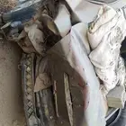 نيسان التيما 2004