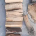 خشب اصلي