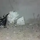 حمام   رقاص العدد 3