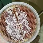 عسل سدر رقم 1