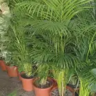 تنسيق حدائق تصميم ديكورات الحدائق تصميم شبكات ري