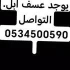 عسف ابل الموقع الشملي