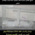 قفص 503السعر50تواصل واتساب