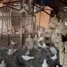 حمام فرنسي سوبر جامبو منتج للبيع