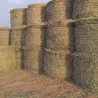 السلام عليكم ورحمه الله لفات رودس جديد ناعم طيب المذنب