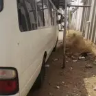 كوستر ديزل 6 سرندل 30 راكب