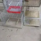 شبوك و مآكل ومشارب للطيور