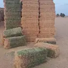 مخلوط صيفي فاخر شد جندير